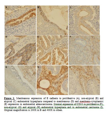 P0070 E-cadherin and CD10 expression in atypical hyperplastic and malignant endometrial lesions